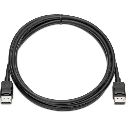 HP - Kit câble d'écran - DisplayPort (M) pour DisplayPort (M) - 2 m - pour Elite Slice G2, EliteDesk 705 G5, 800 G5, ProOne 400 G5, 440 G5, 600 G5, Workstation Z1 G5