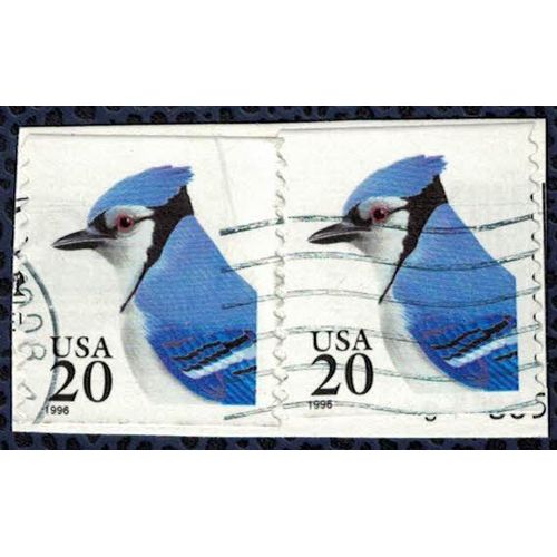 Etats Unis 1996 Lot 2 Oblitérés Used Oiseau Cyanaocitta Cristata Geai Bleu Sur Fragment Su