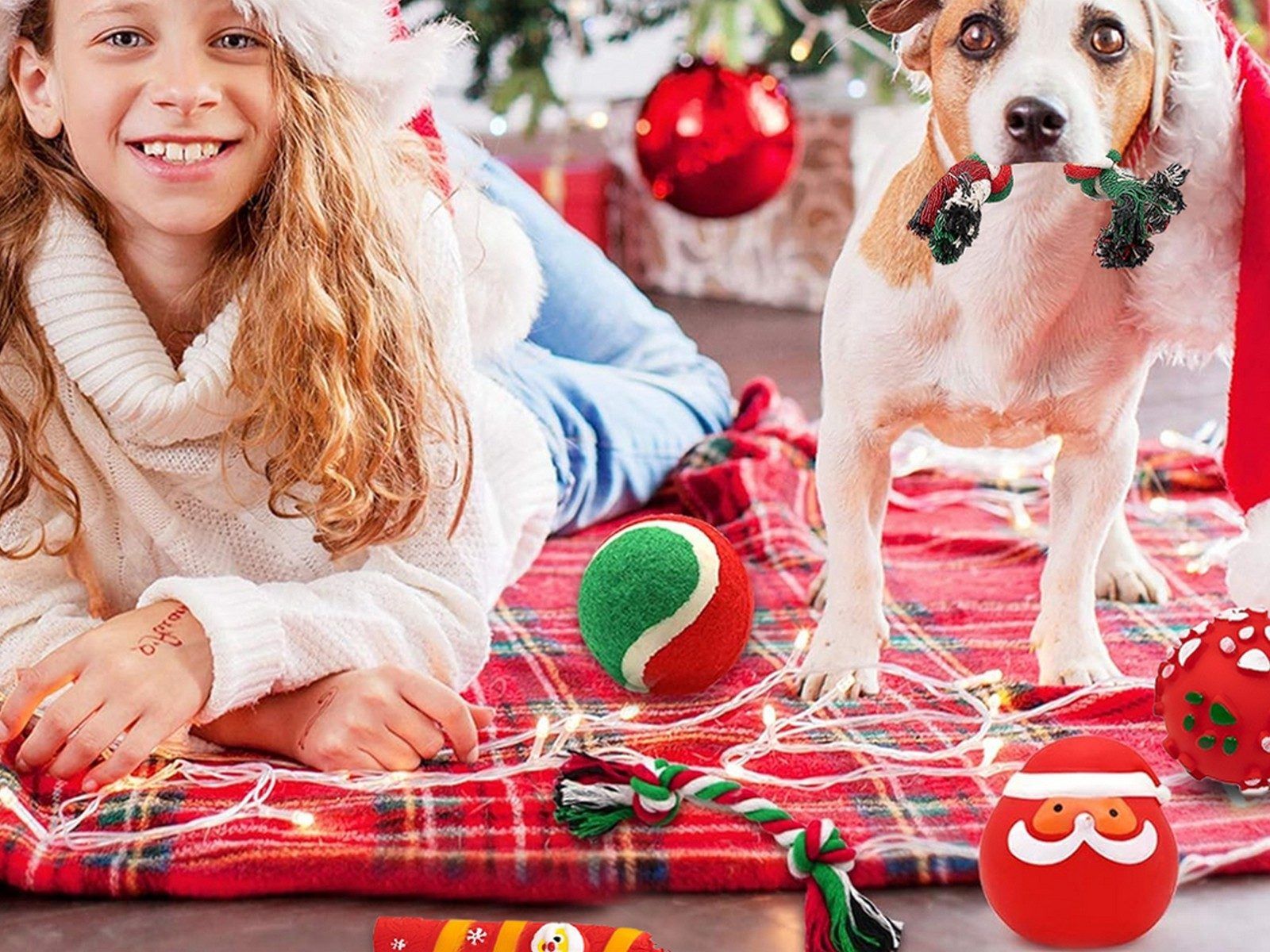 Ensemble De Jouets De Nol Grinants Pour Chien, Jouet  Mc... - 3