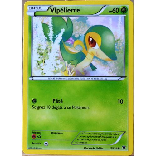 Carte Pokémon 5/124 Vipélierre 60 Pv Xy - Impact Des Destins Neuf Fr