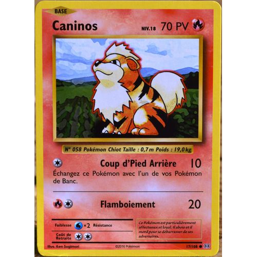 Carte Pokémon 17/108 Caninos Niv.17 70 Pv Xy - Evolutions  Neuf Fr