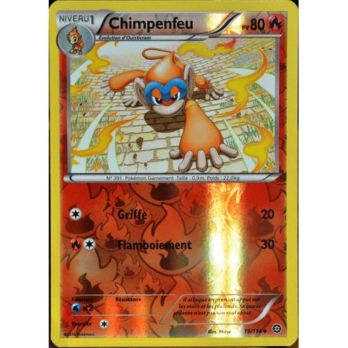 Carte Pokémon 19/114 Chimpenfeu 80 Pv - Reverse Xy - Offensive Vapeur Neuf Fr