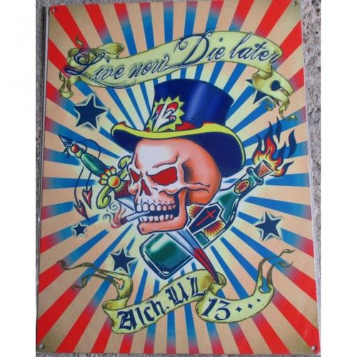 Plaque Alchemy Live Now Die Later Tole Crane Coloré Skull