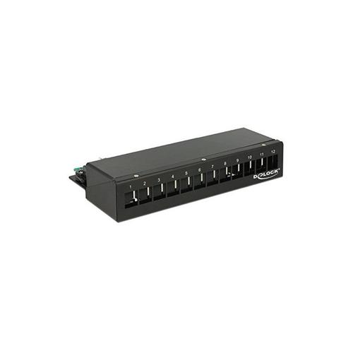 Delock Keystone Desktop Patch Panel - Tableau de connexions - noir de jais, RAL 9005 - 12 ports