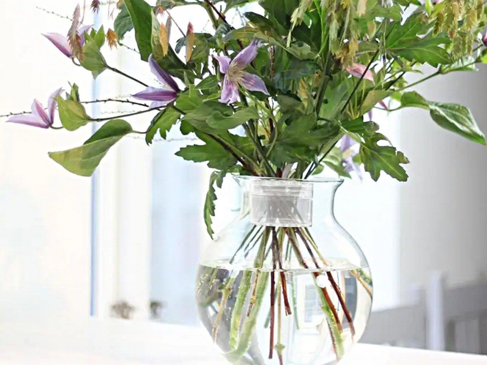 Support de tige d'ikebana en spirale pour vases, support d'a... - 3