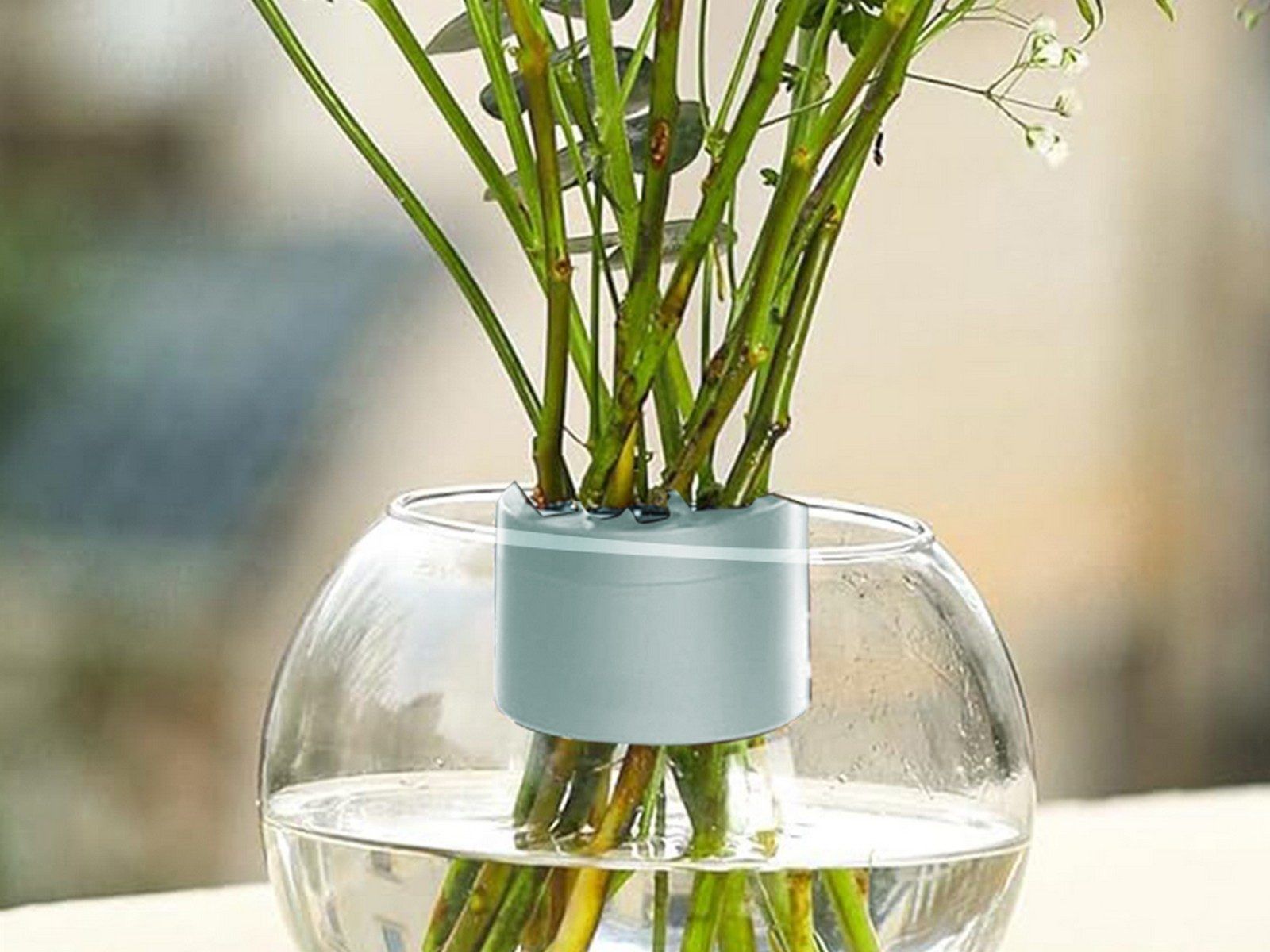 Support de tige d'ikebana en spirale pour vases, support d'a... - 3