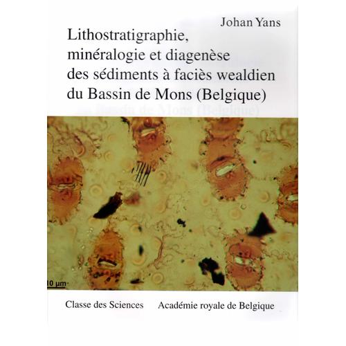 Lithostratigraphie, Minéralogie Et Diagenèse Des Sédiments À Faciès Wealdien Du Bassin De Mons (Belgique)