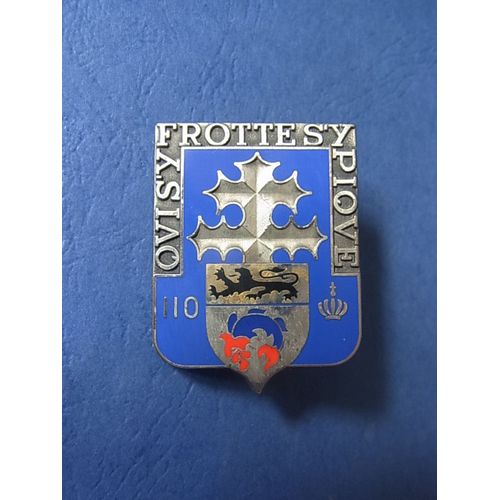 Insigne / 110° Regiment Infanterie / Fabrication Delsart Et Cie