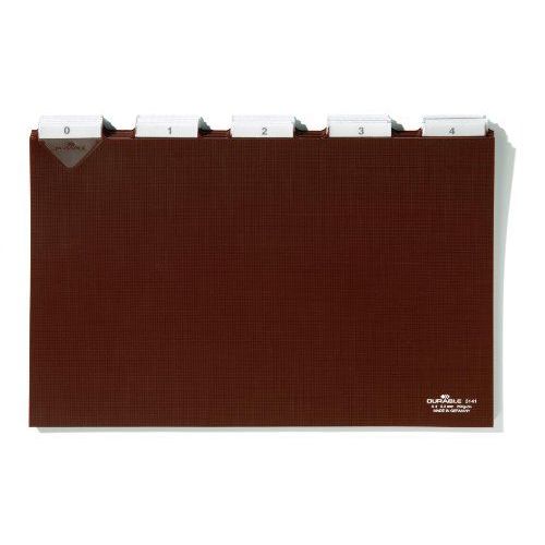 Durable 314111 Jeu De 25 Intercalaires Rigides Format A4 Paysage Avec Divisions 5/5 - Onglets Plastifiés - Insertions Interchangeables