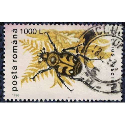 Roumanie 1996 Oblitéré Used Scarabée Insecte Trichius Fasciatus Trichie Fasciée