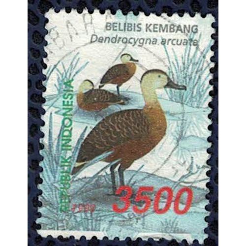 Indonésie 1998 Oblitéré Used Oiseau Dendrocygna Arcuata Dendrocygne À Lunules