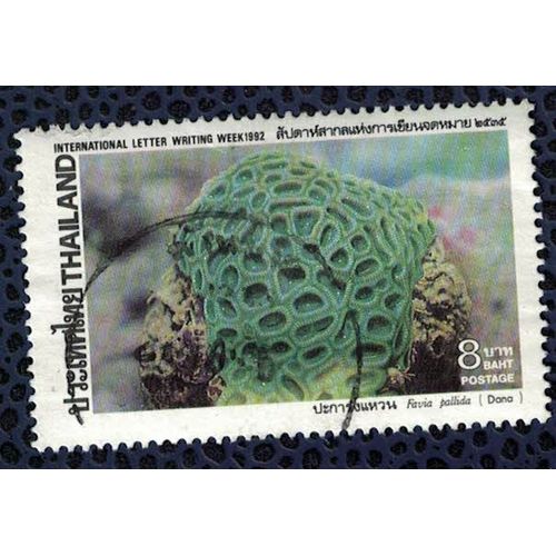 Thaïlande 1992 Oblitéré Rond Used Corail Favia Pallida Coraux