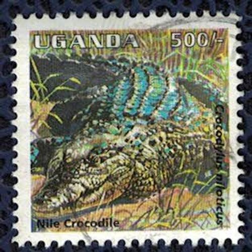Ouganda 1995 Oblitéré Used Animaux Crocodylus Niloticus Crocodile Du Nile