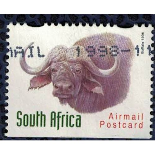 Afrique Du Sud Oblitéré Used Animaux Sauvages Buffalo Buffle Airmail Postcard
