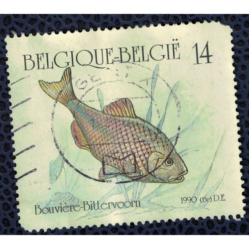 Belgique 1990 Oblitéré Used Fish Poisson Bouvière