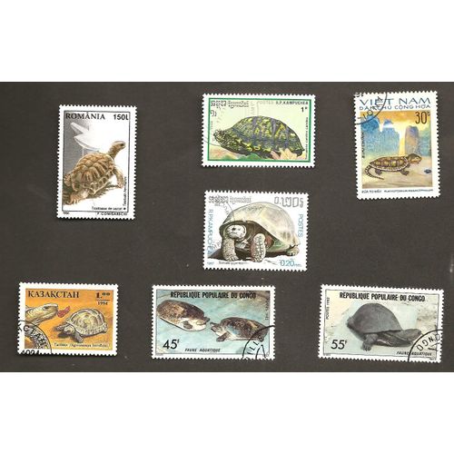 Tortues