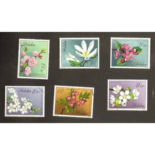 Fleurs