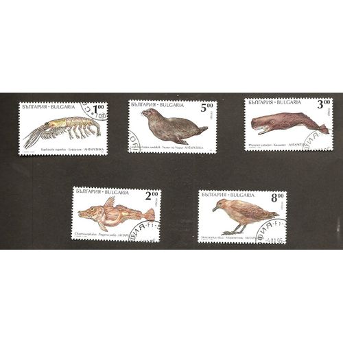 Animaux Marins