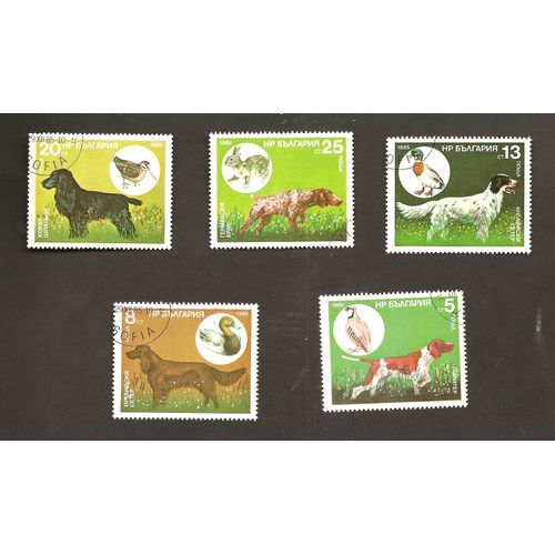 Chiens De Chasse