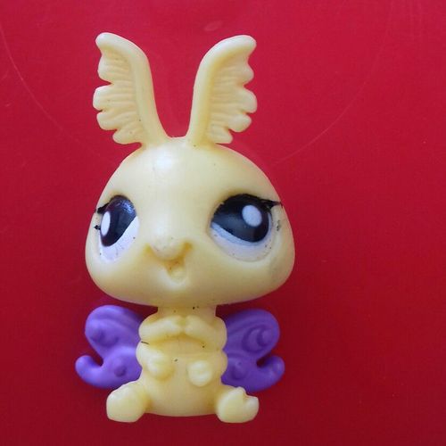 Petshop 2837 Papillon De Nuit
