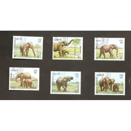 Eléphants