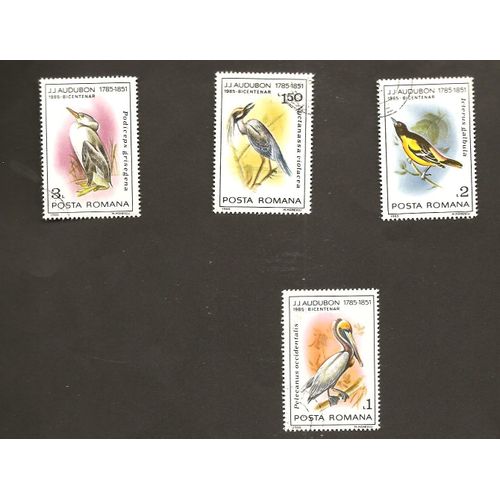 Oiseaux De J. J Aubudon