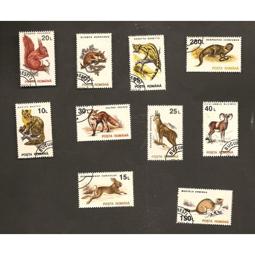 Animaux Divers