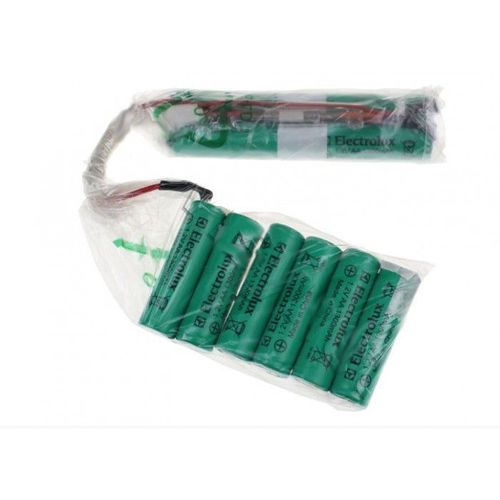 Kit Batterie Ergo Rapido Pour Aspirateur Electrolux