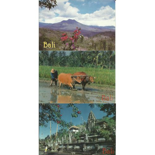 Lot De 4 Cartes Bali