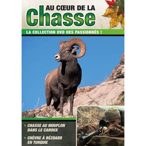 Au Coeur De La Chasse : - Chasse Au Mouflon Dans Le Caroux - Chèvre À Bézoard En Turquie