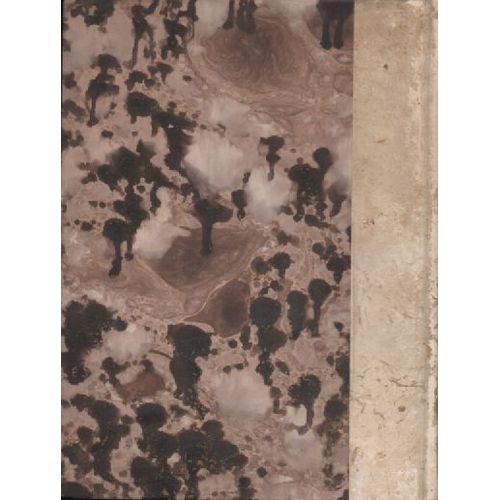 Salaman & Absal, Poème Mystique D'amour Traduit Du Persan