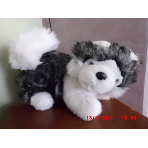 Chien Des Neiges Nounours