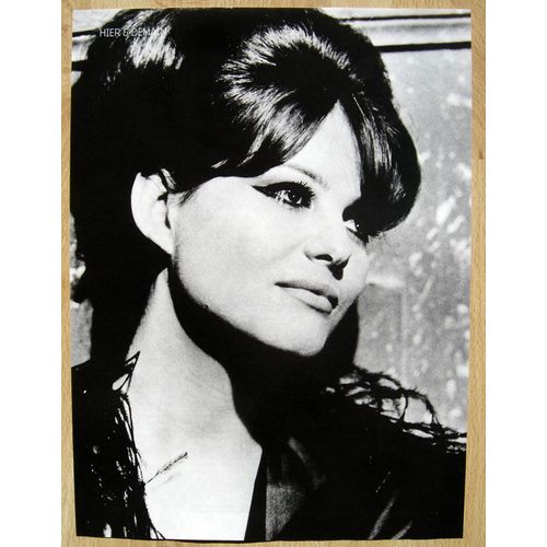 Studio Ciné Live N°77 - Coupure De Presse - Claudia Cardinale