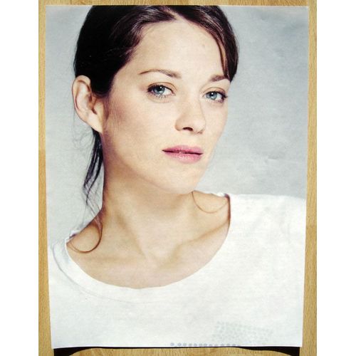 Studio Ciné Live N°79 - Coupure De Presse - Marion Cotillard