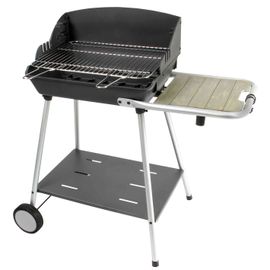Barbecue vertical Excel Grill