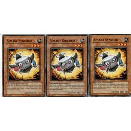 3x Aimant Synchro - Tshd Fr011