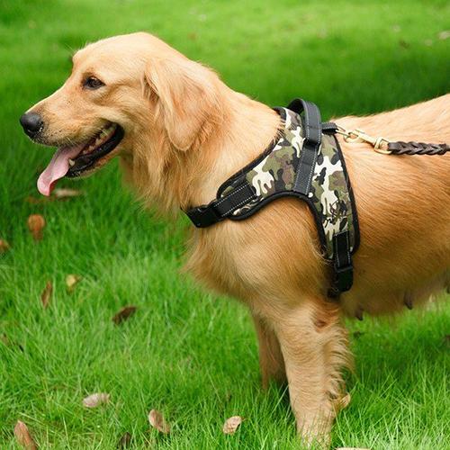 Harnais Pour Chien Taille L