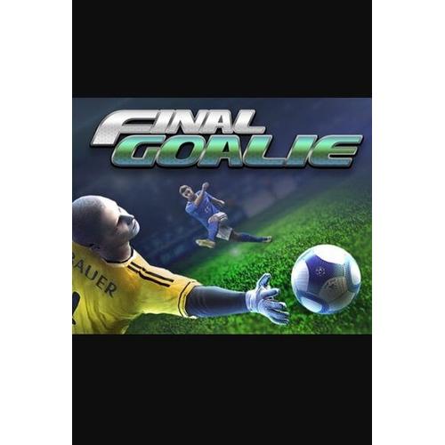 Final Goalie Football Simulator Pc Steam