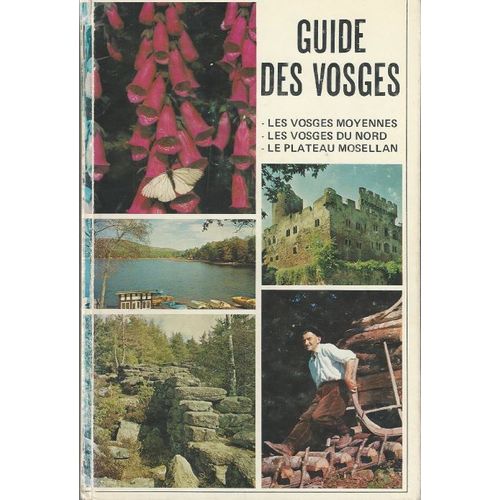 Guide Des Vosges - 2 Tomes