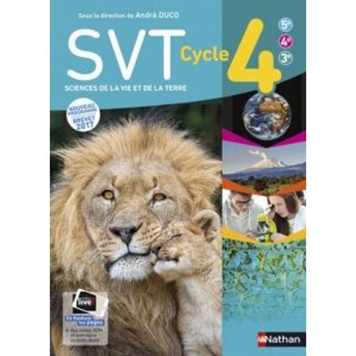 Svt Cycle 4