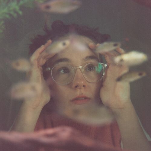 Morgan Harper-Jones - Up To The Glass [Vinyl Lp]