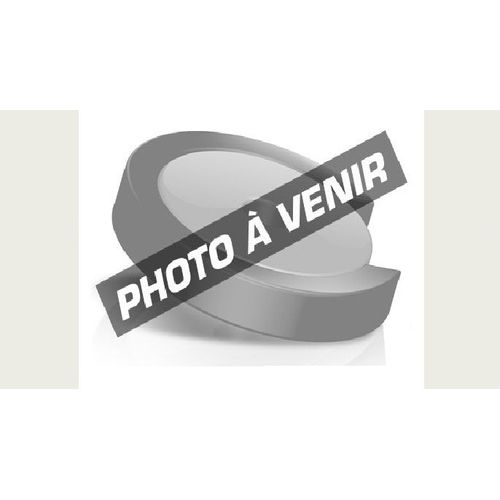 Kenko Filtre polarisant circulaire Smart Slim 58 mm - Filtre polarisant 58 mm ( Catégorie : Filtre photo )