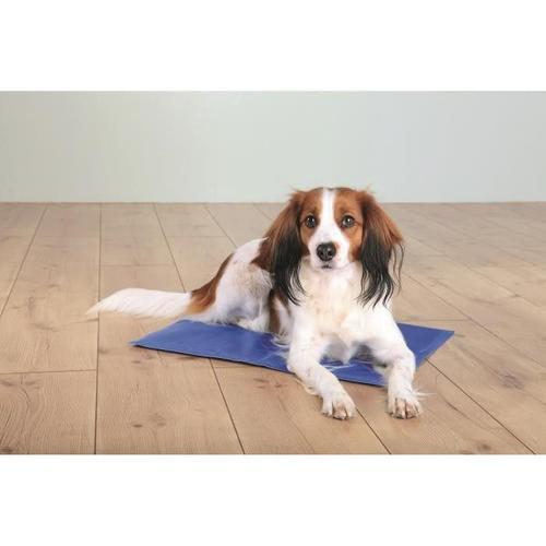 Trixie Matelas Rafraîchissant - 65x50cm - Bleu - Pour Chien