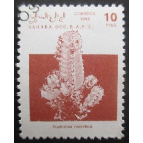 Saharaui Cactus Oblitéré