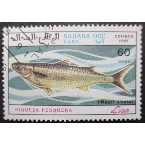 Saharaui Poisson Oblitéré