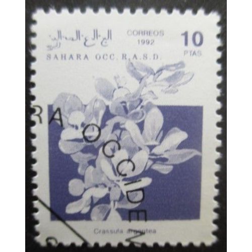 Saharaui Fleurs Oblitéré