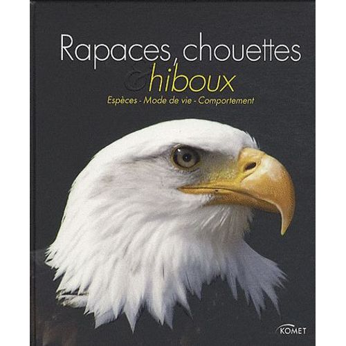 Rapaces, Chouettes Et Hiboux - Espèces, Mode De Vie, Comportement