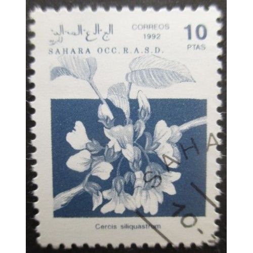 Saharaui Fleurs Oblitéré
