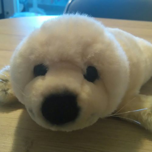 Doudou Peluche Anima Phoque Ushuaïa 33 Cm