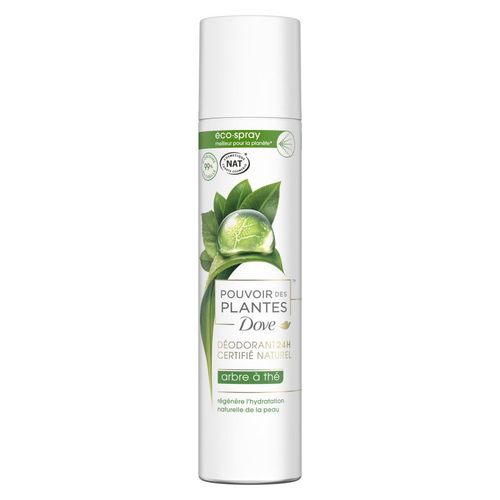 Pack De 3 - Dove Nat Pouvoir Des Plantes Arbre À Thé Eco-Spray 75ml 